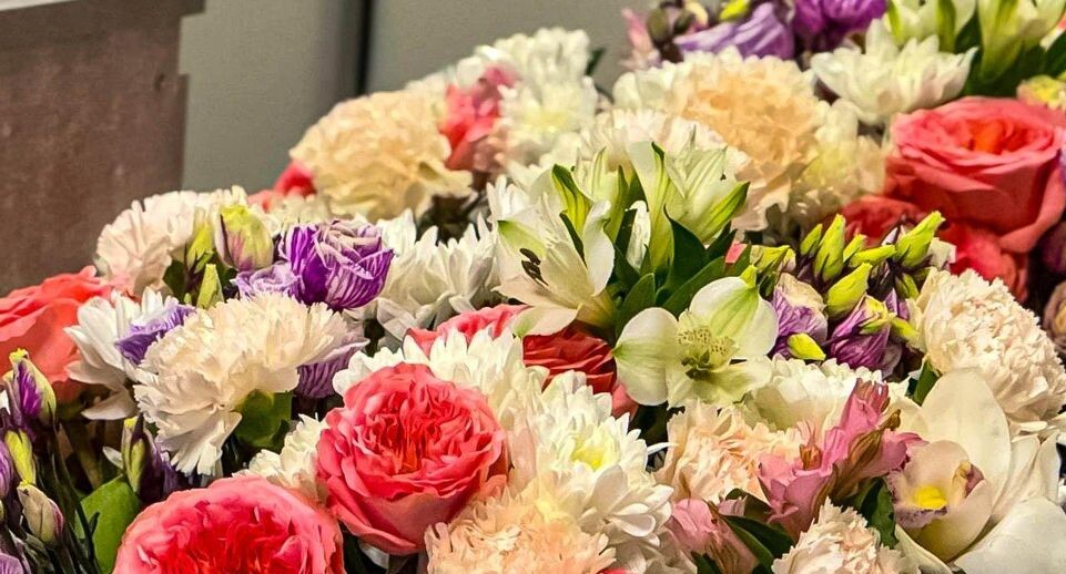    REGIONS/Дарина Левкина