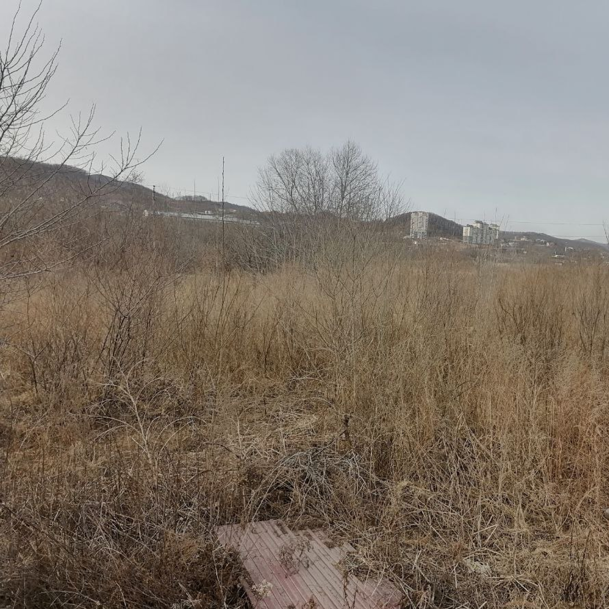 Здесь мог быть сквер