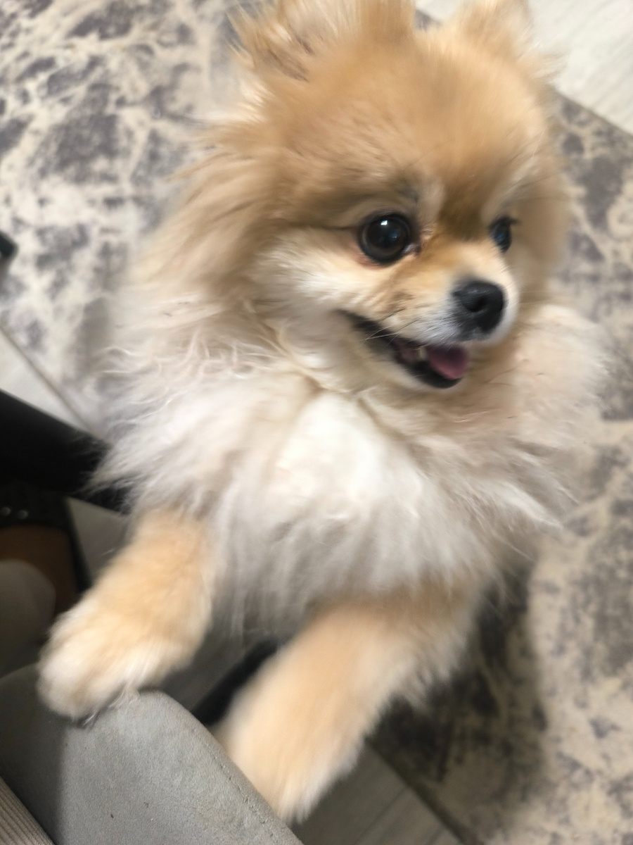 С собакеном не делилась .