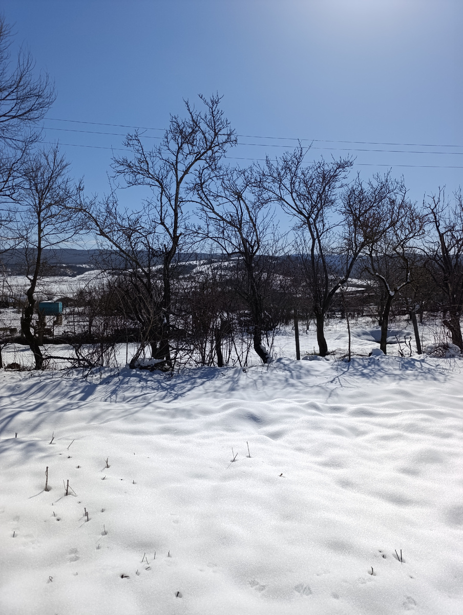 Колодец расположится примерно по середине этой поляны.