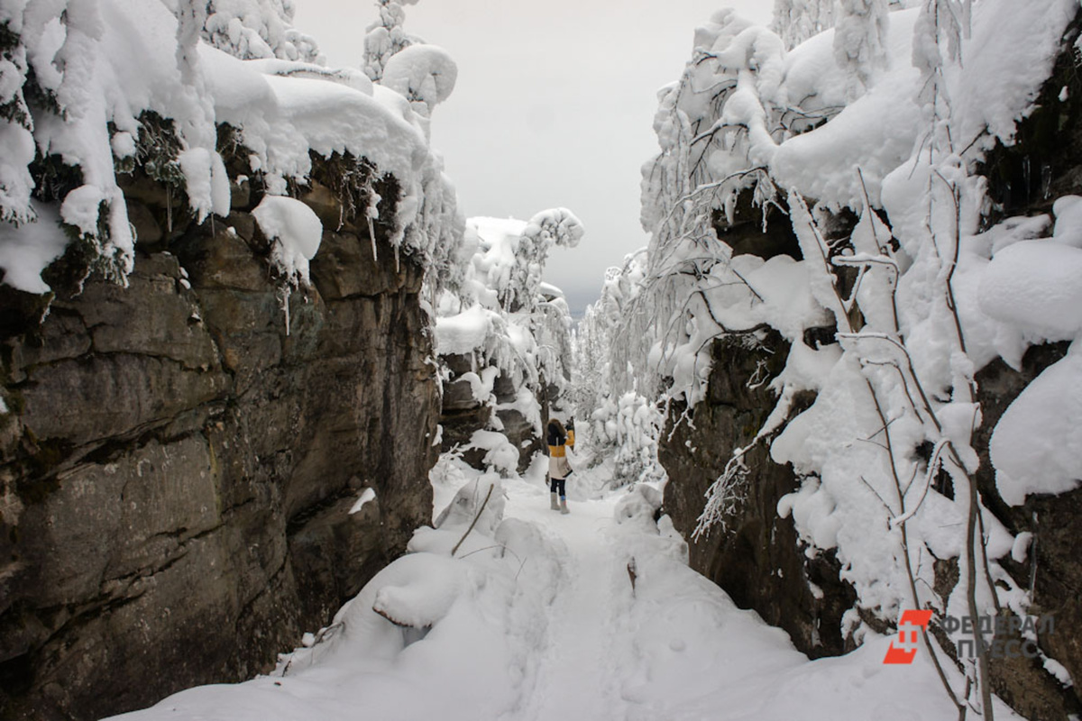 Супруги Усольцевы с маленькой дочерью пропали больше 5 месяцев назад.  Фото: ФедералПресс / Дмитрий Барков