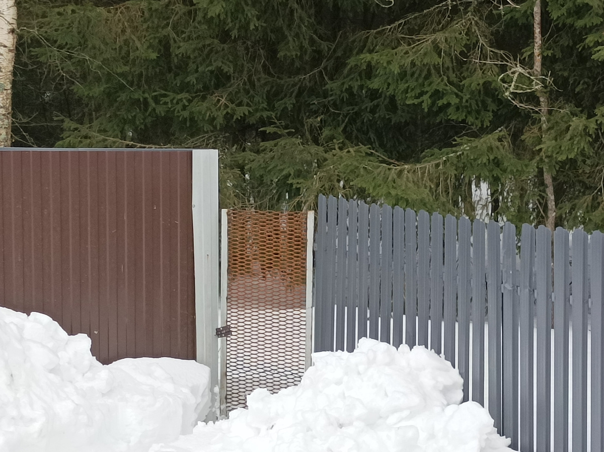 Калитка в лес на заднем дворе