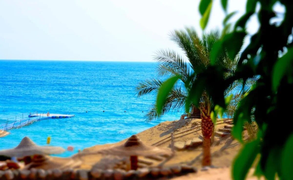    Туры «все включено» на март продаются за 117 тысяч на двоих