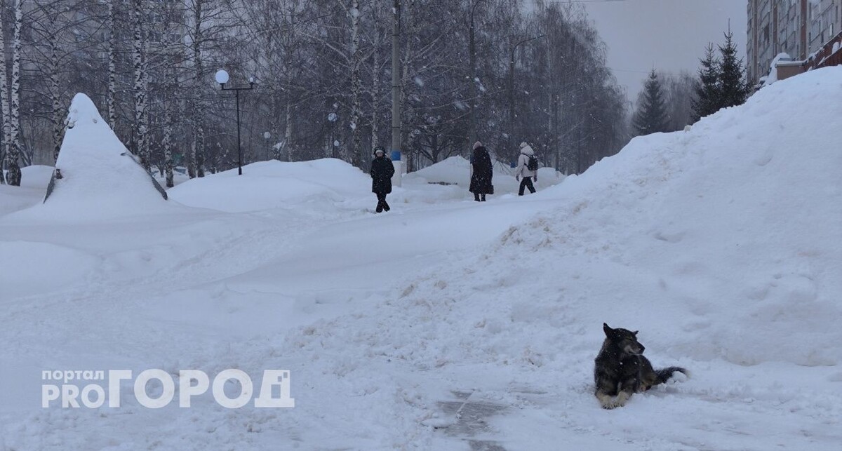    из архива "Про Город"
