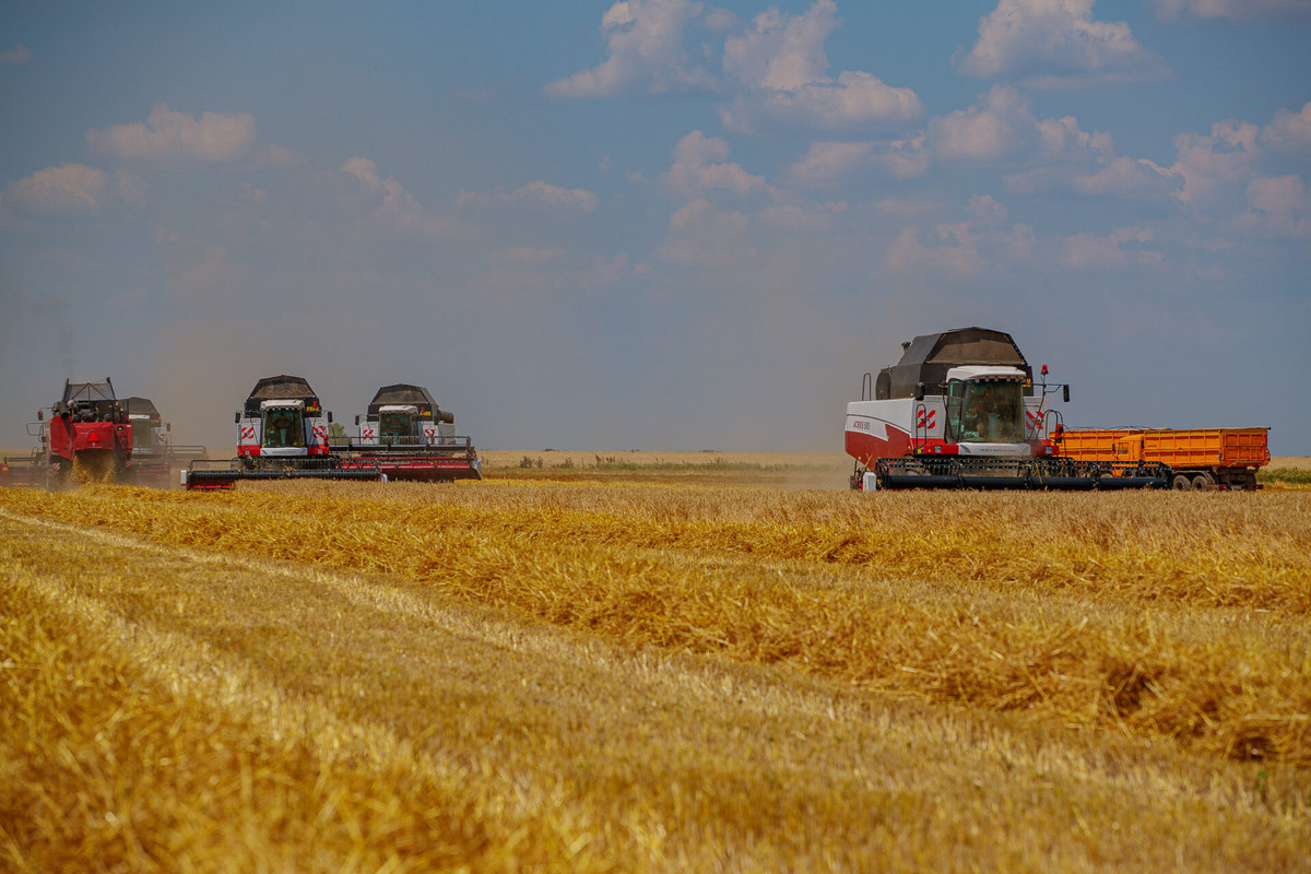    Фото: ТРК «Таврия»