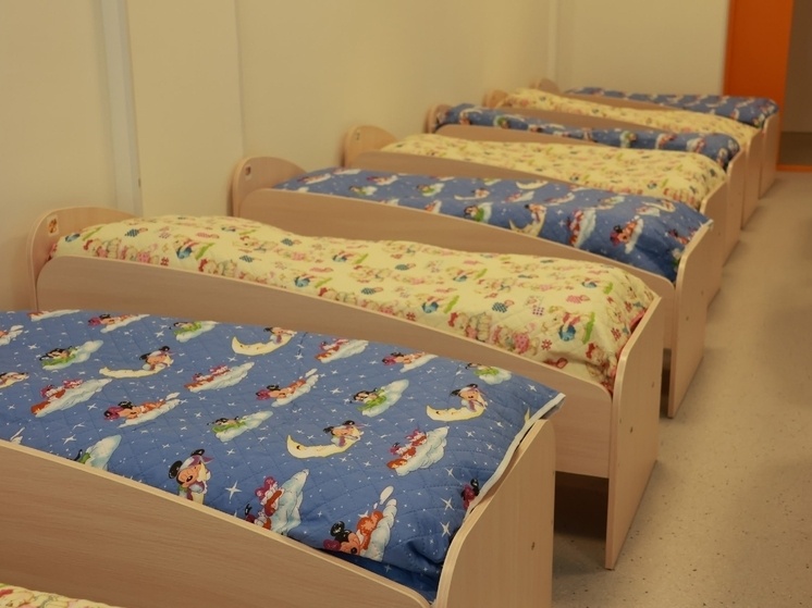     В ходе проверки оценят работу сразу нескольких уполномоченных органов. Фото: архив МК в Питере