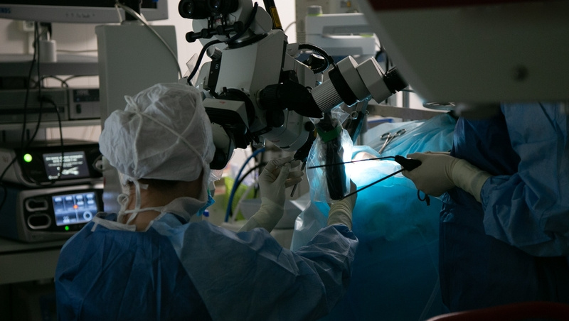      Фото: Валерия Алтухова / / ИА «Победа26»