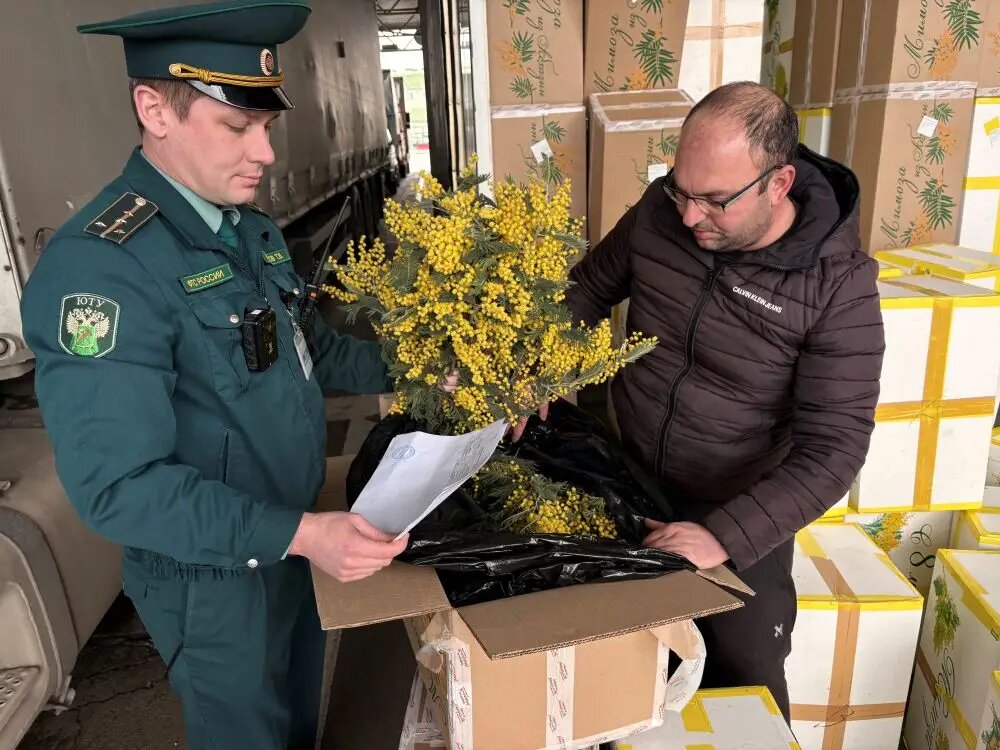     © Пресс-служба сочинской таможни. Марина Жупанова