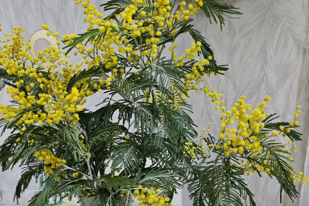    © "Интерфакс". Елена Плеханова