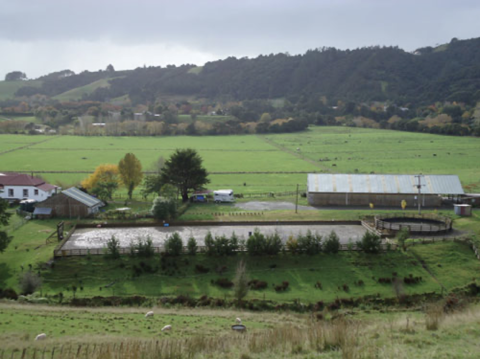 Вот такая скромная фазенда на 20 га: слева — старый дом, справа — конюшня; на переднем плане видно овечек