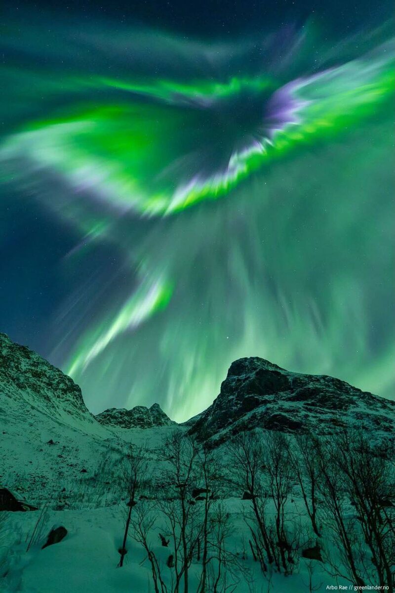 Все фото и картинки из интернета