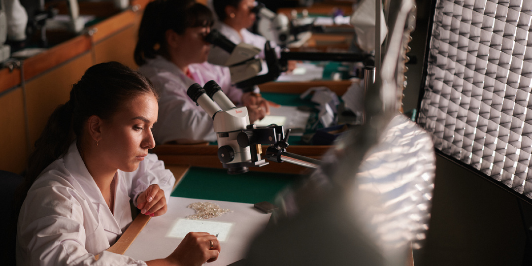 Расширение сбытовой политики компании