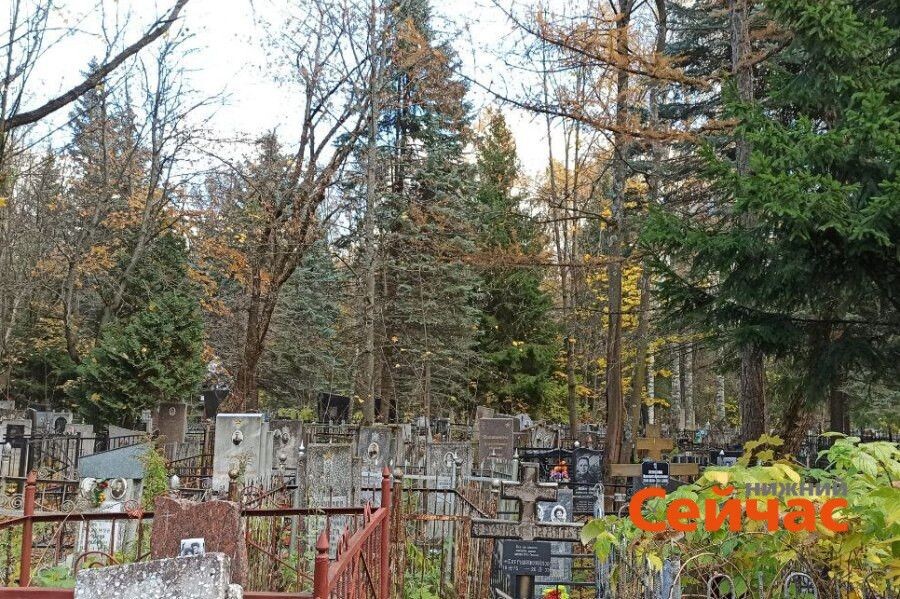    Фото: ИА "Нижний сейчас" Редакция nn-now