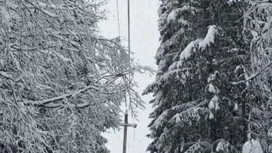   Пресс-служба администрации Якшур-Бодьинского района Удмуртии