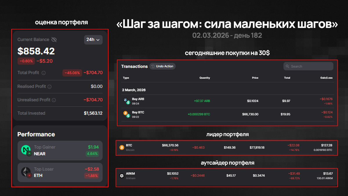 инфографика проекта 