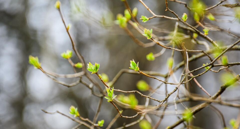    медиасток.рф