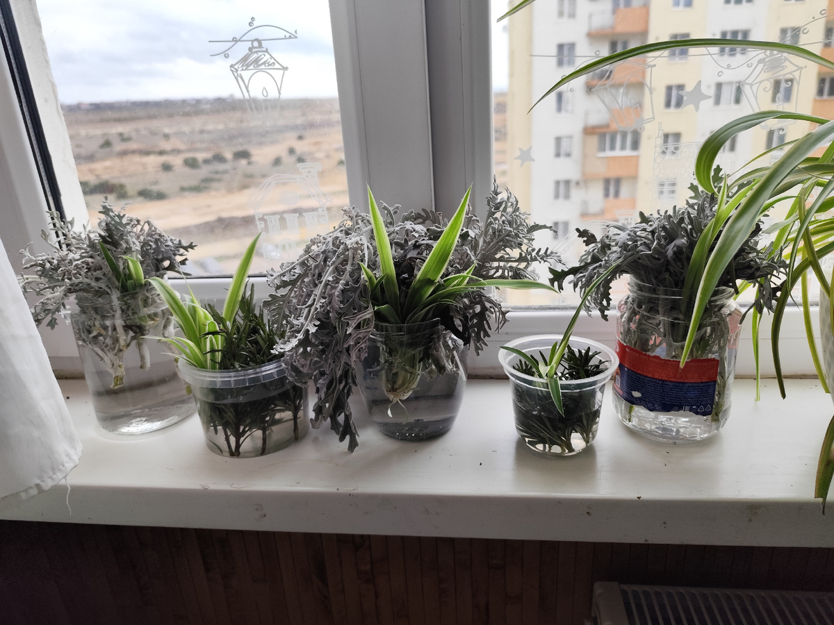 Вот такие букетики получились