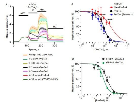    Действие вариантов ProTx-I на направленные наружу AITC-индуцированные токи в ооцитах X. laevis / © Acta Naturae
