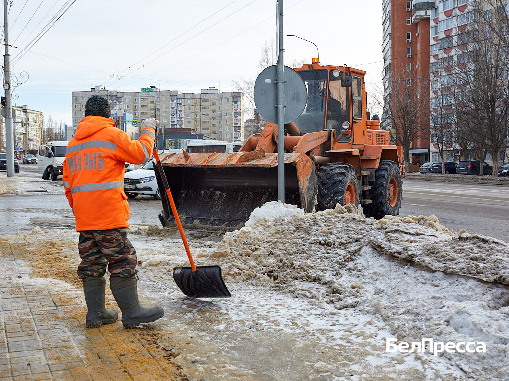     Фото: Елена Журавлёва (архив)