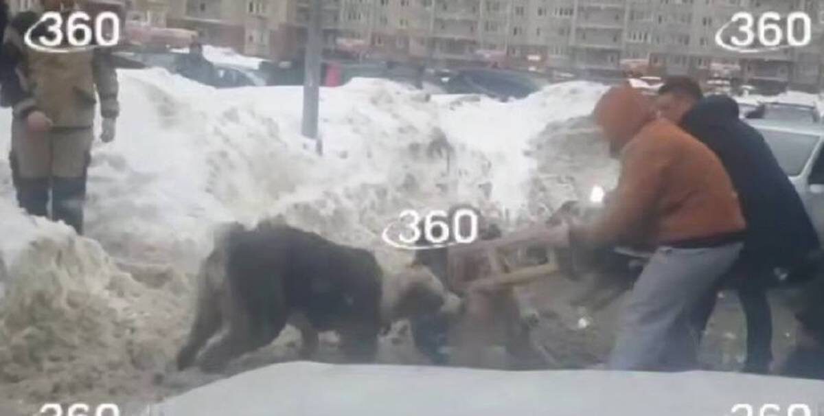    Фото: скриншот видео / 360.ru / Telegram