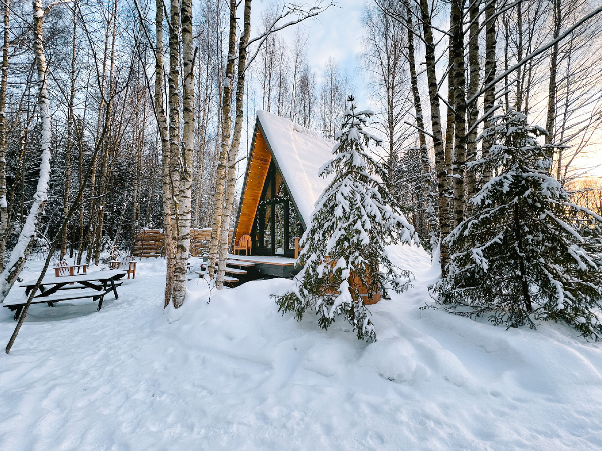 Треугольный домик в лесу "Под кронами"