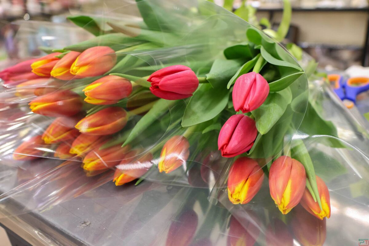 Юлия Бидун / «РТ»