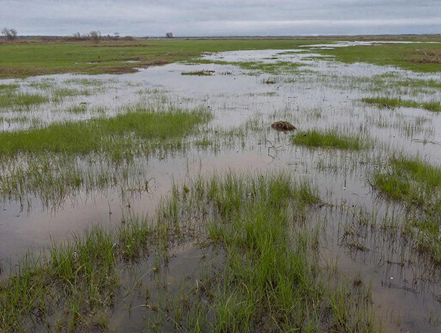 Паводок-2026: тверских аграриев предупредили об угрозе смыва удобрений в реки