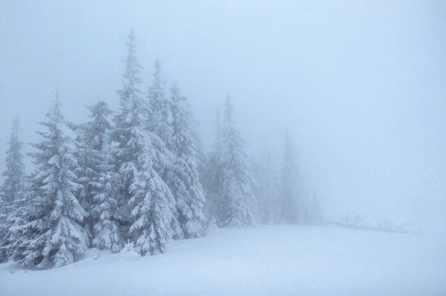    Фото: ru.freepik.com