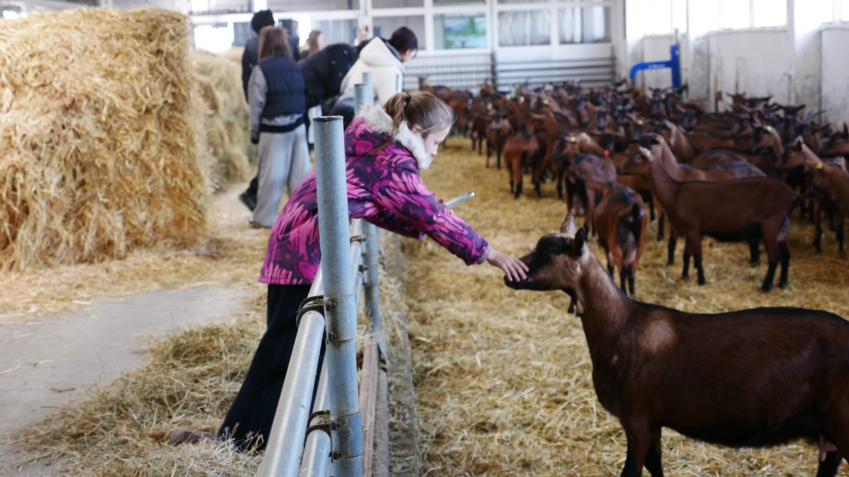    Фото: Telegram-канал губернатора Херсонской области Владимира Сальдо