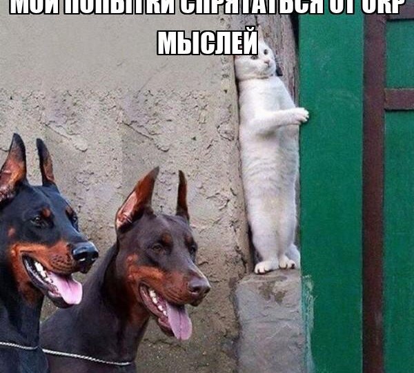 Почему при ОКР в голову приходят такие яркие образы и картинки?