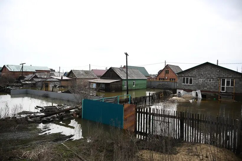     © РИА Новости. Владимир Астапкович