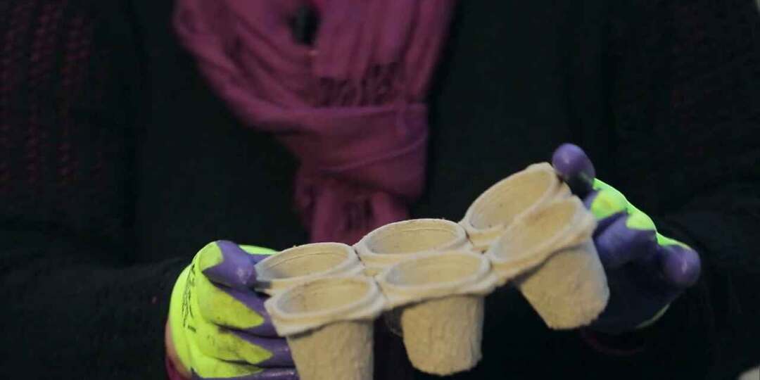 Всё о контейнерах для рассады