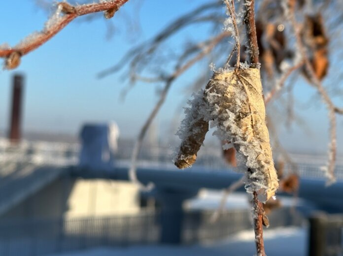    Фото: В курсе.ру