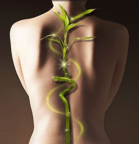 РОДОВЫЕ ЗАДАЧИ ПО МЕСЯЦАМ: ДИАГНОЗ И ЛЕЧЕНИЕ