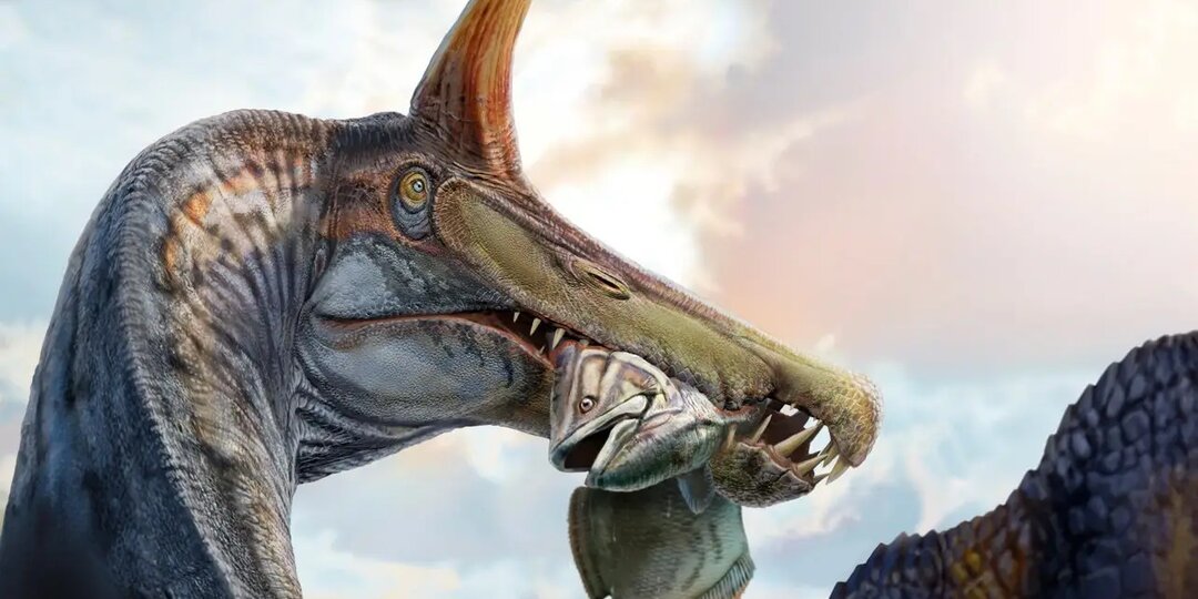 В Сахаре палеонтологи обнаружили «адскую цаплю» — новый вид спинозавра