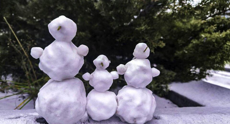    REGIONS/Роман Малышенко