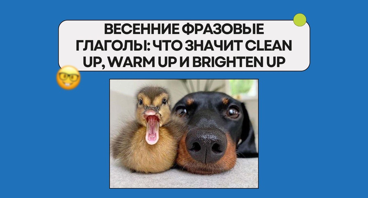 Изображение: Family English