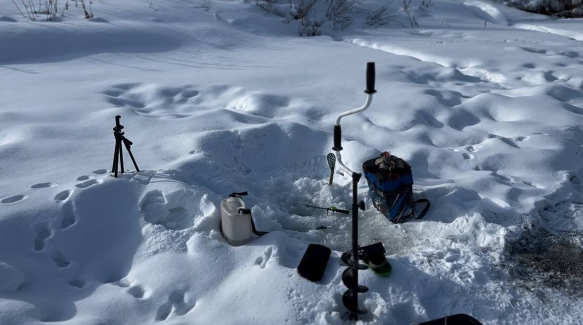 МЕСТО ГДЕ Я ПОЙМАЛ БОЛЬШЕ 40 ШТУК ОБЩЕГО , ВСЕ УЗНАЙТЕ В ВЫПУСКЕ.!