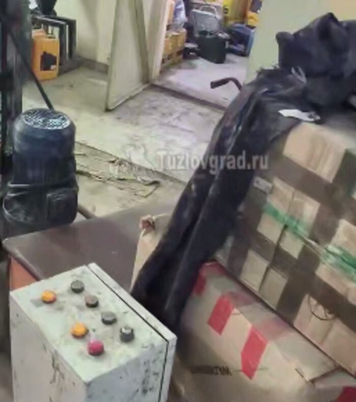 Иллюстрация: Tuzlovgrad.ru