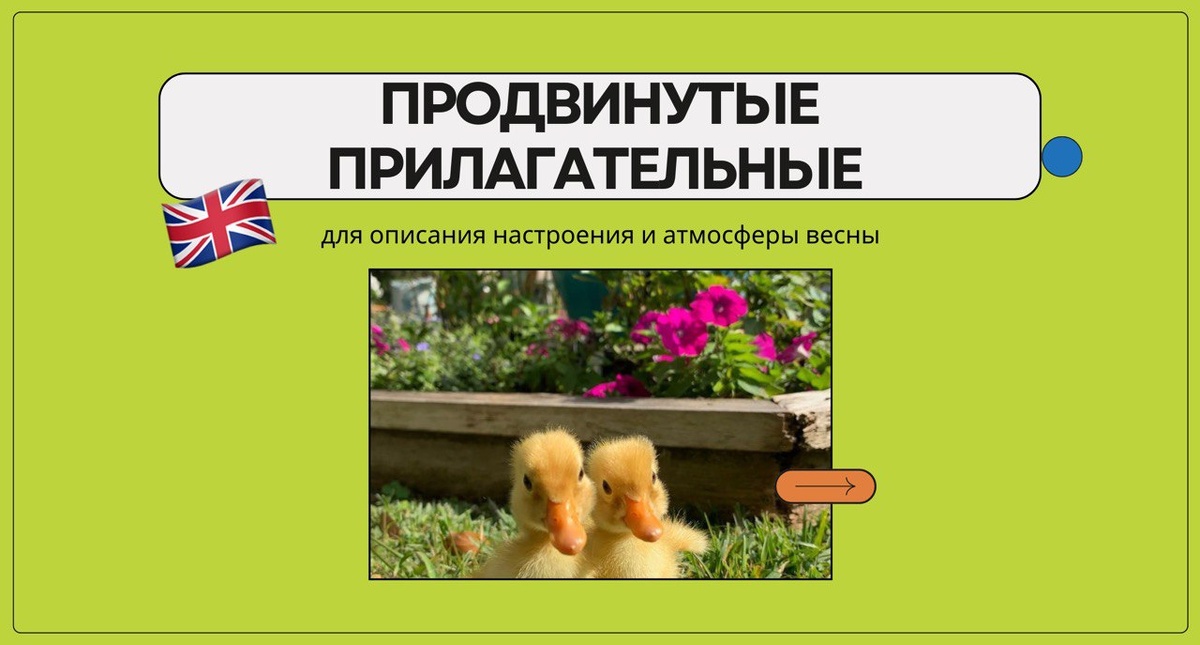 Изображение: Family English