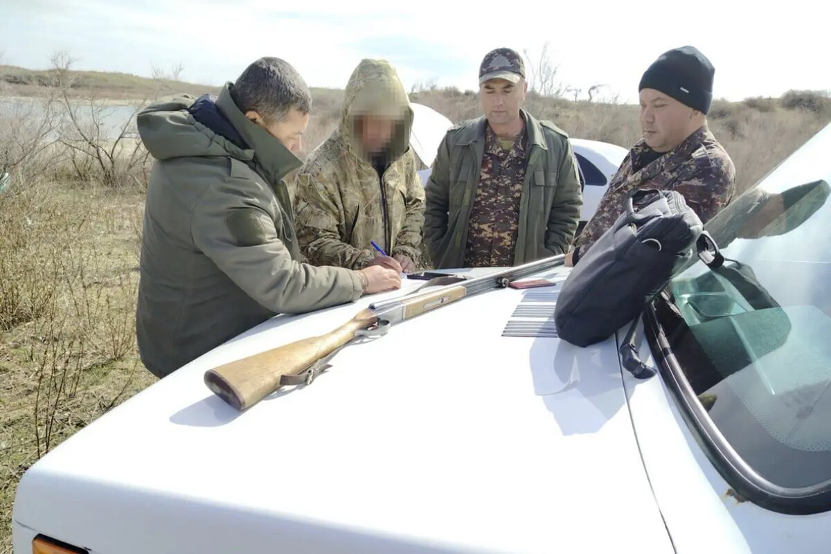 Национальный комитет по экологии и изменению климата