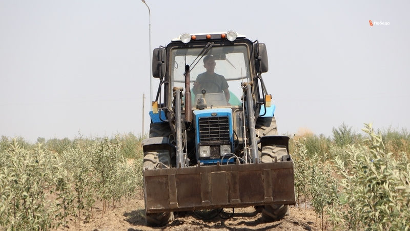      Фото: ИА «Победа26»