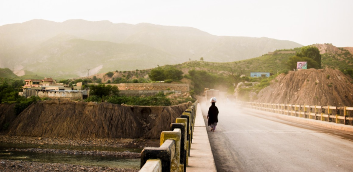 В далёком Пакистане оказывается знают про аграриев Приморья / фото: pxhere.com.