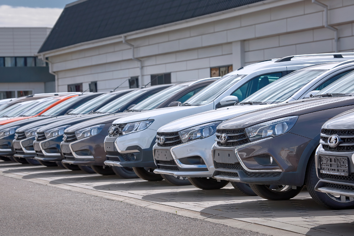 Фото: Shutterstock