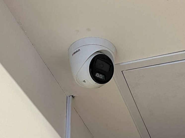     Фото: архив МК в Питере