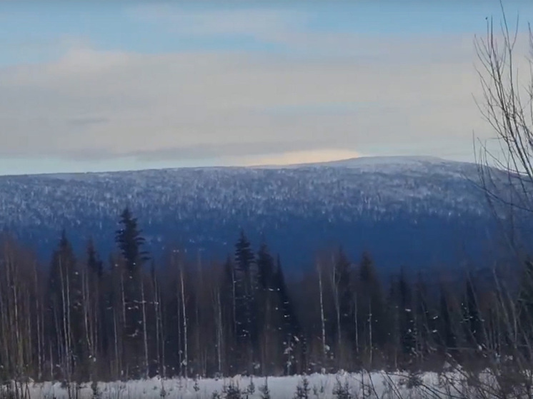     Фото: МЧС РФ