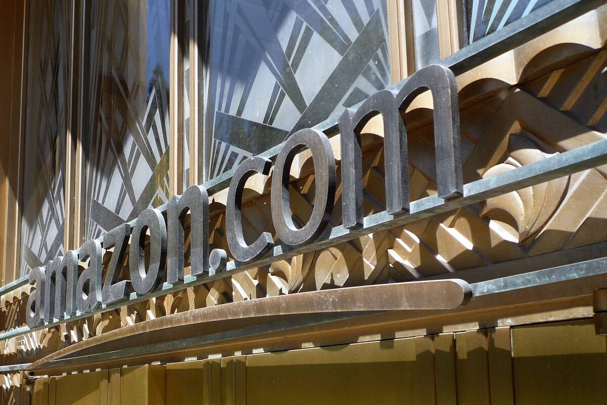     Амазон (Amazon)   
 CC BY-SA 2.0 simone.brunozzi flickr.com