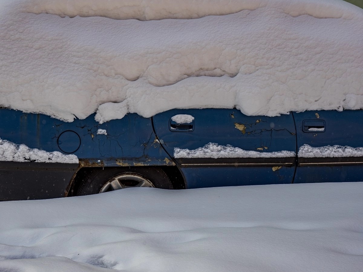    Фото: Александр Губарев Юра Белый