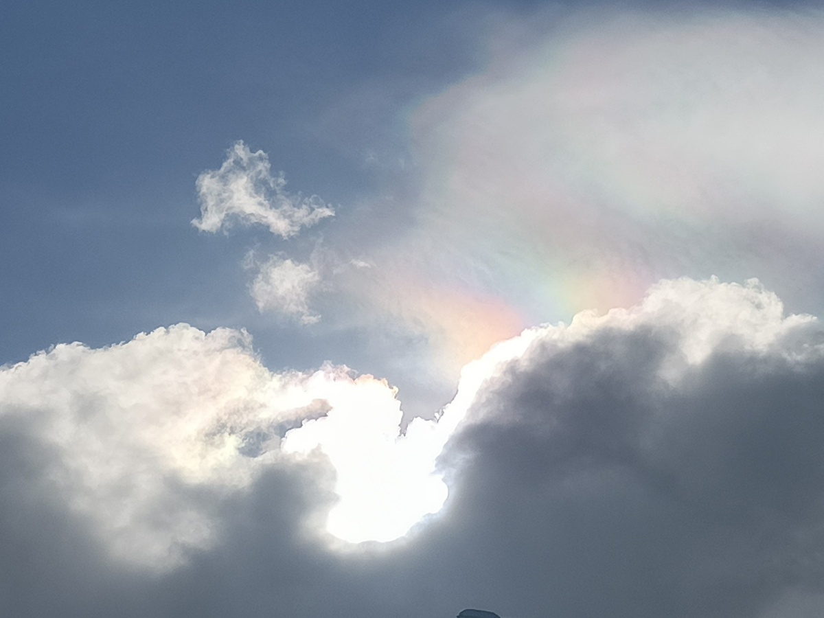 Адлер, март 2026 года