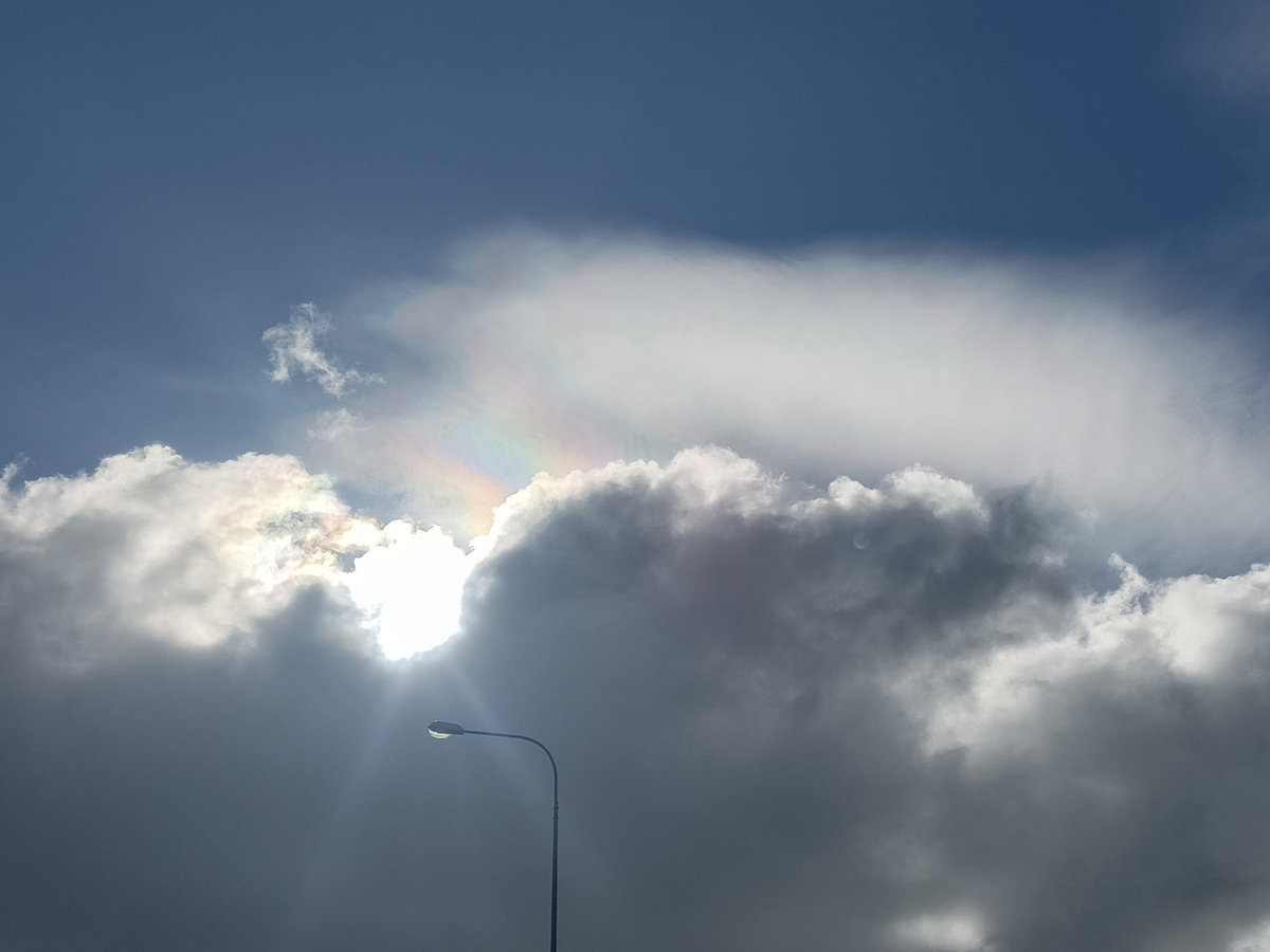 Адлер, март 2026 года